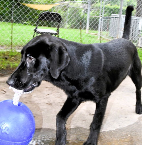Elsie photo 7