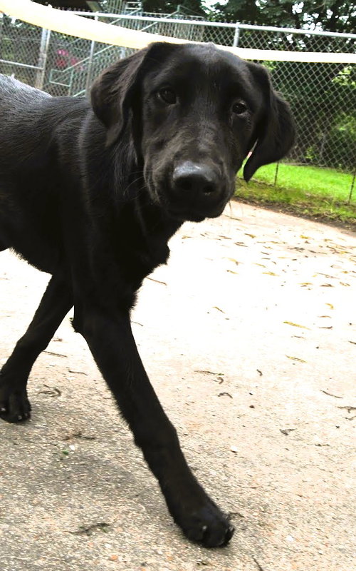 Elsie photo 8