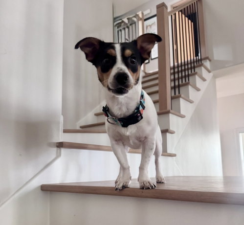 Crouton