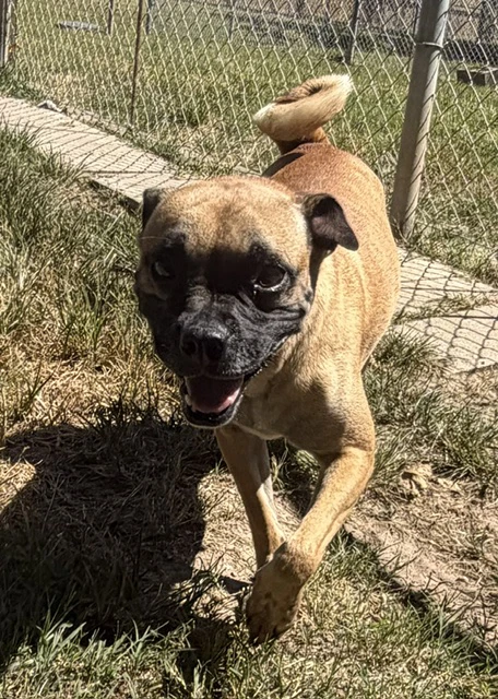 Chloe