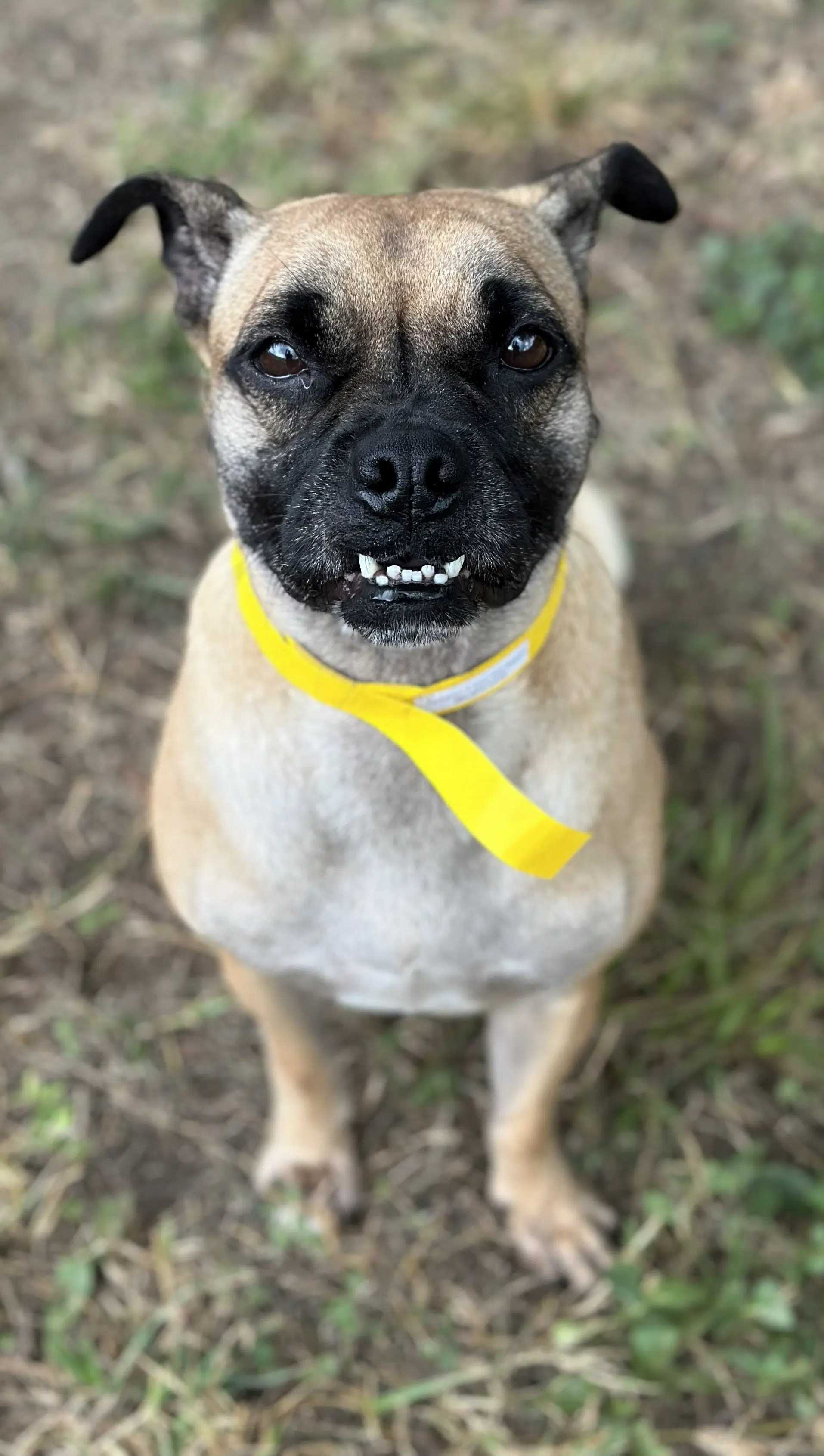 Chloe image 3
