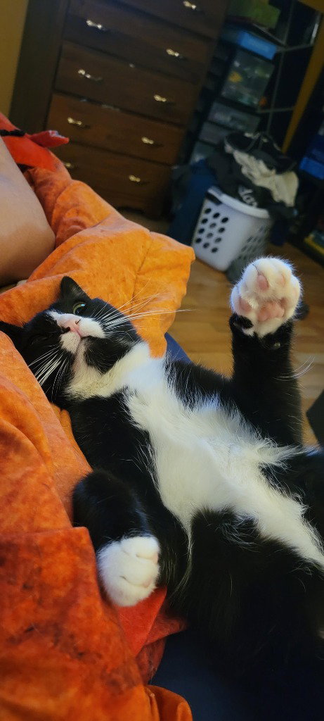 Delilah