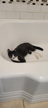 Delilah - Photo 2