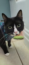 Delilah - Photo 3