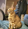 Bob - Photo 2