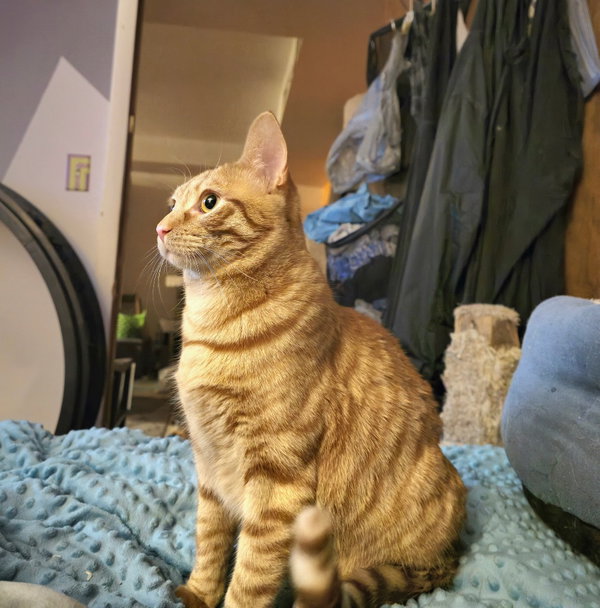Bob