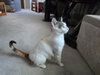 Kiwee - Photo 2