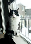 Tia - Photo 3