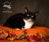 Fred Jones - Photo 1