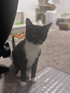 Fred Jones - Photo 2