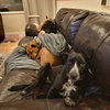 Benny - Photo 4