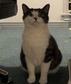 Tilly - Photo 3