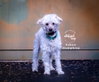 Ruben Humphrey - Photo 4