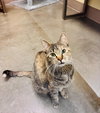 Bailey - Photo 2