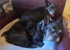 Noxeema Jackson - Photo 4