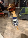 Sadie - Photo 4