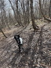 Shadow - Photo 3