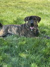 Lucy - Photo 2