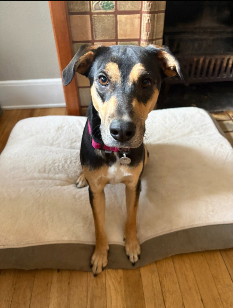 Betty Image