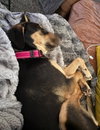 Betty - Photo 2