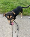 Betty - Photo 3