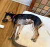 Betty - Photo 4