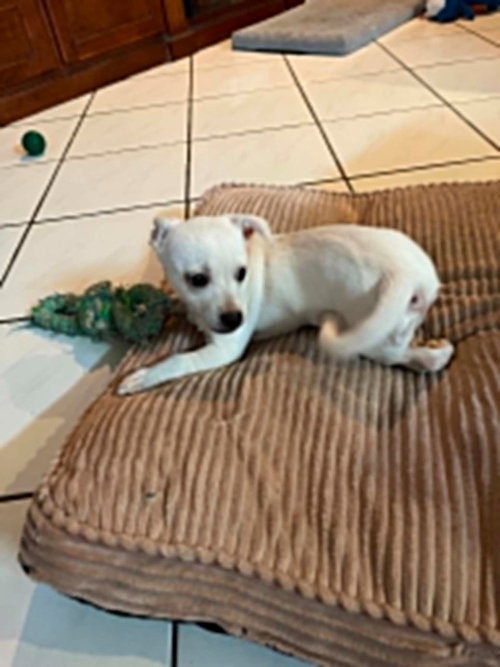 Milo