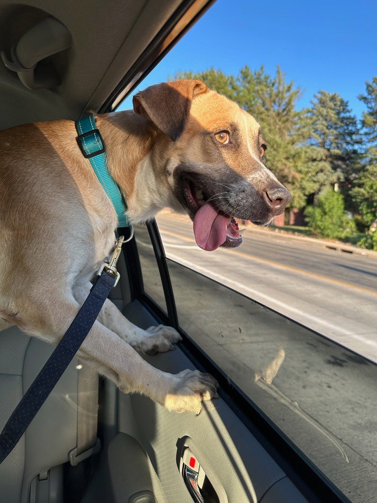 Pete