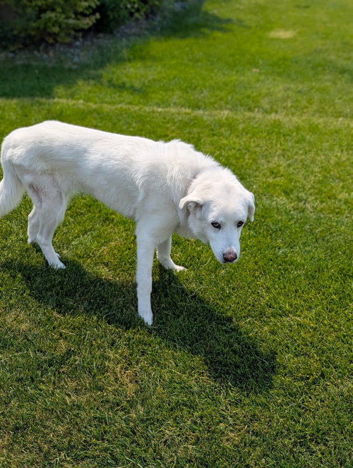 Athena photo 4