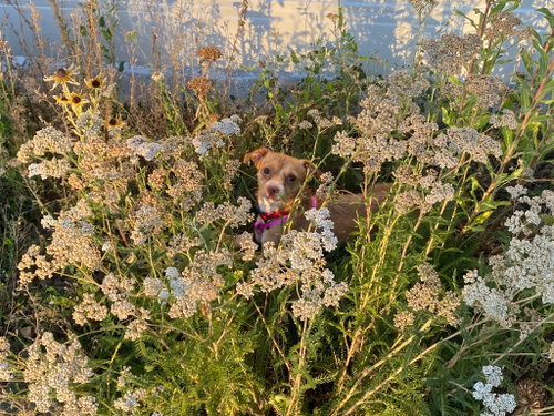 Barnaby photo 2