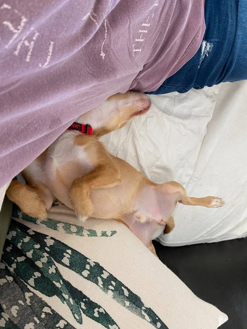 Barnaby photo 4