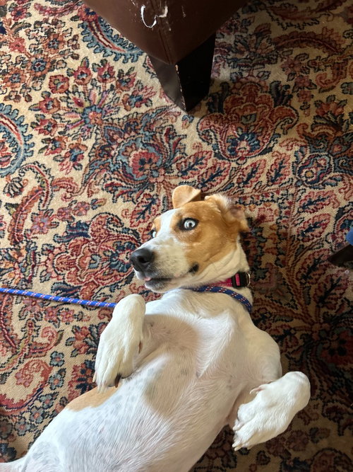 Penelope photo 2