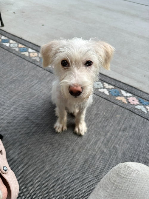 Zuko