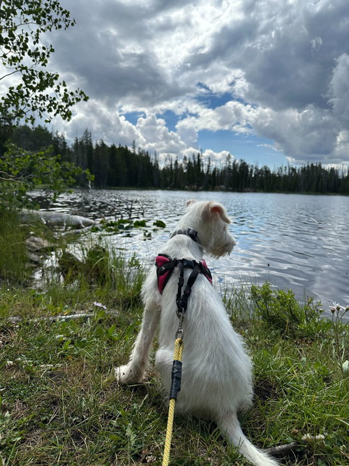 Zuko photo 3