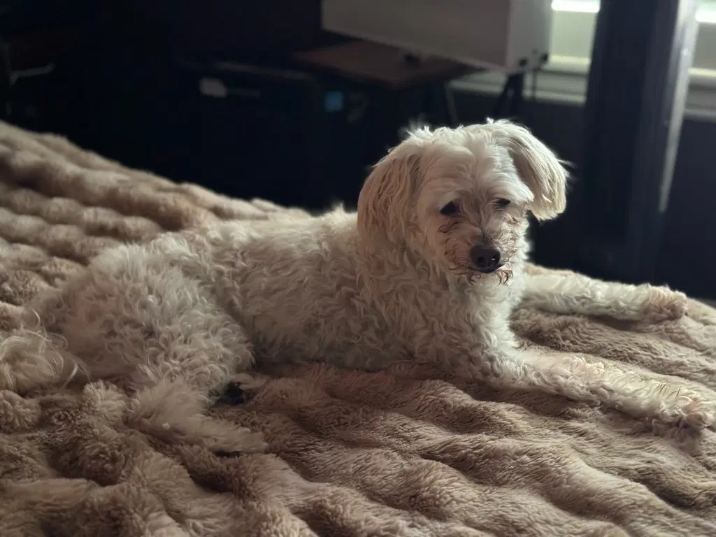 Ruben Humphrey image 1