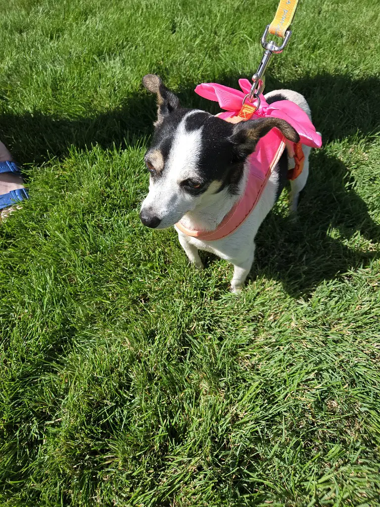 Gwen image 3