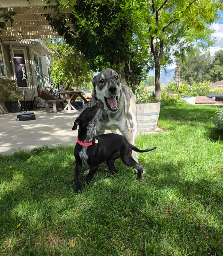 Mazzy image 2