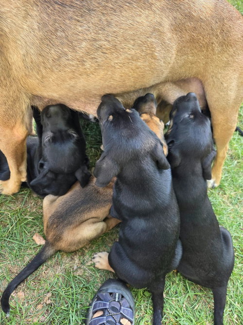 Photo 4 of Candy