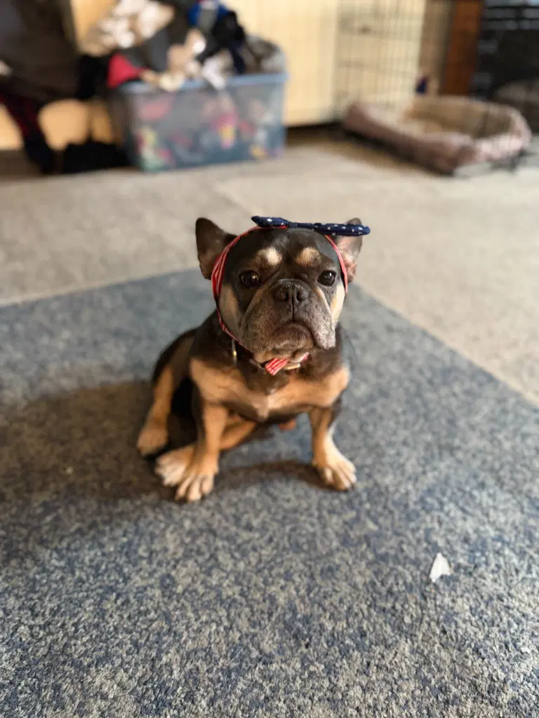 Missy image 2