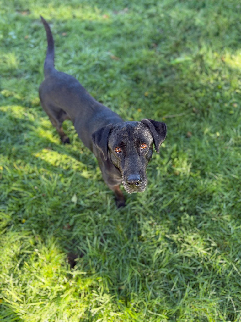 Winnie, photo 3