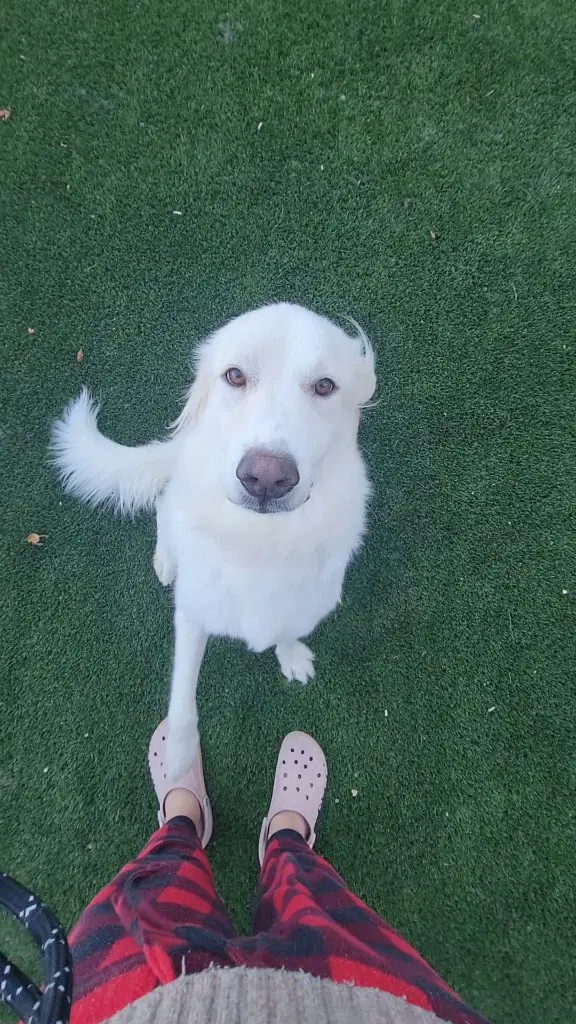 Yuki image 2