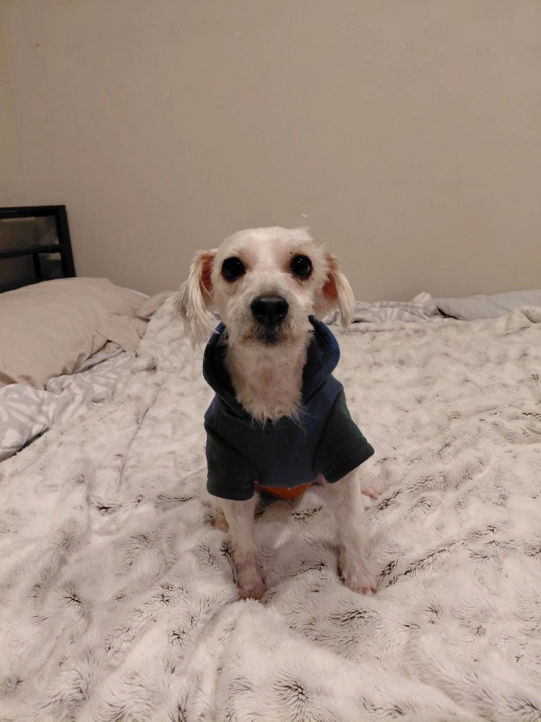 Max