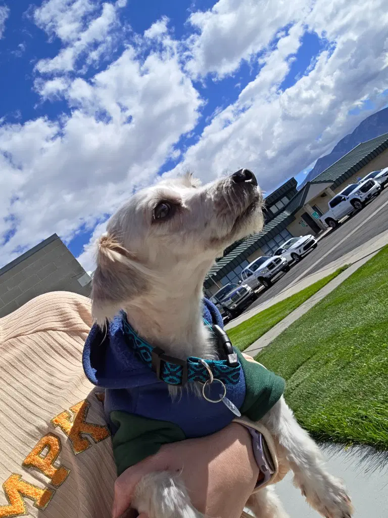 Max image 2