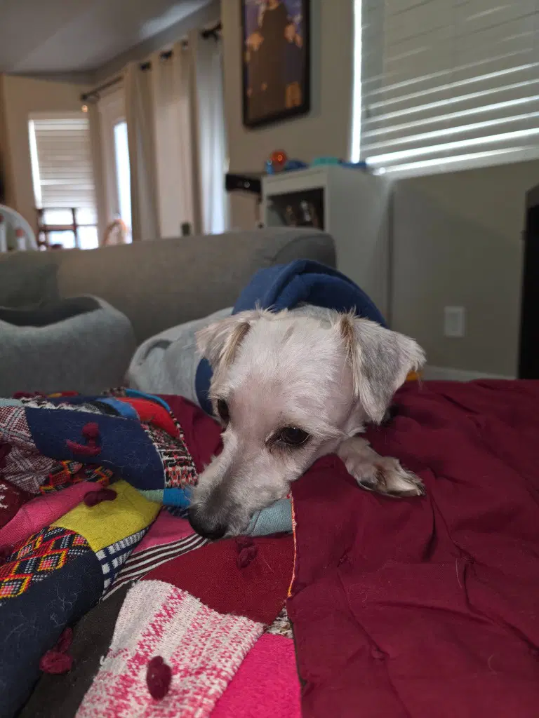 Max image 3