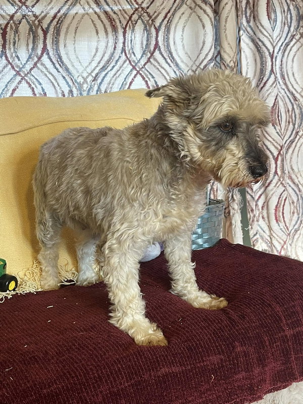 Sabrina