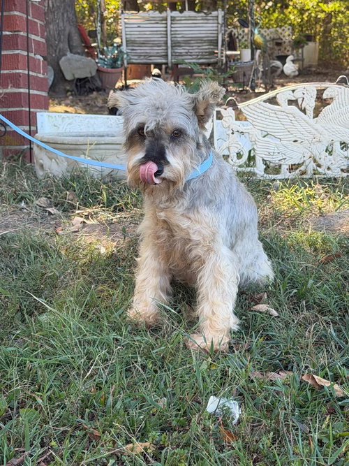 Photo 3 of Sabrina