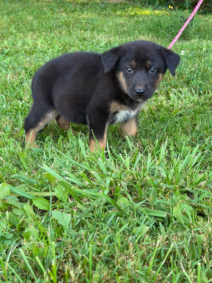 Buster