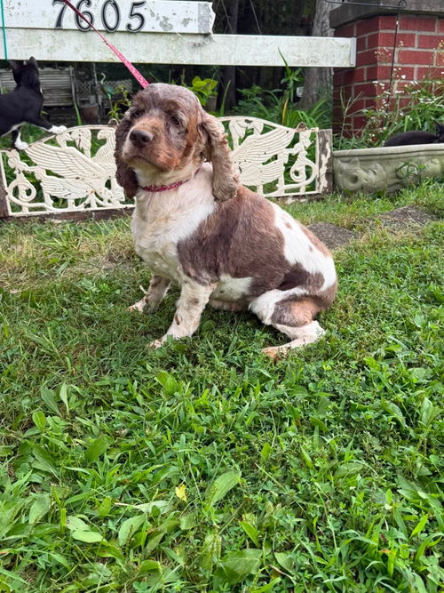 Photo 2 of Margo