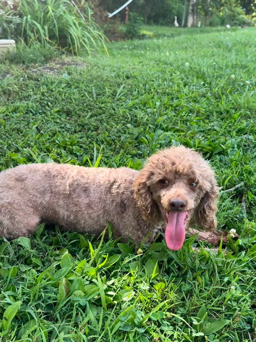 Photo 3 of Charlie