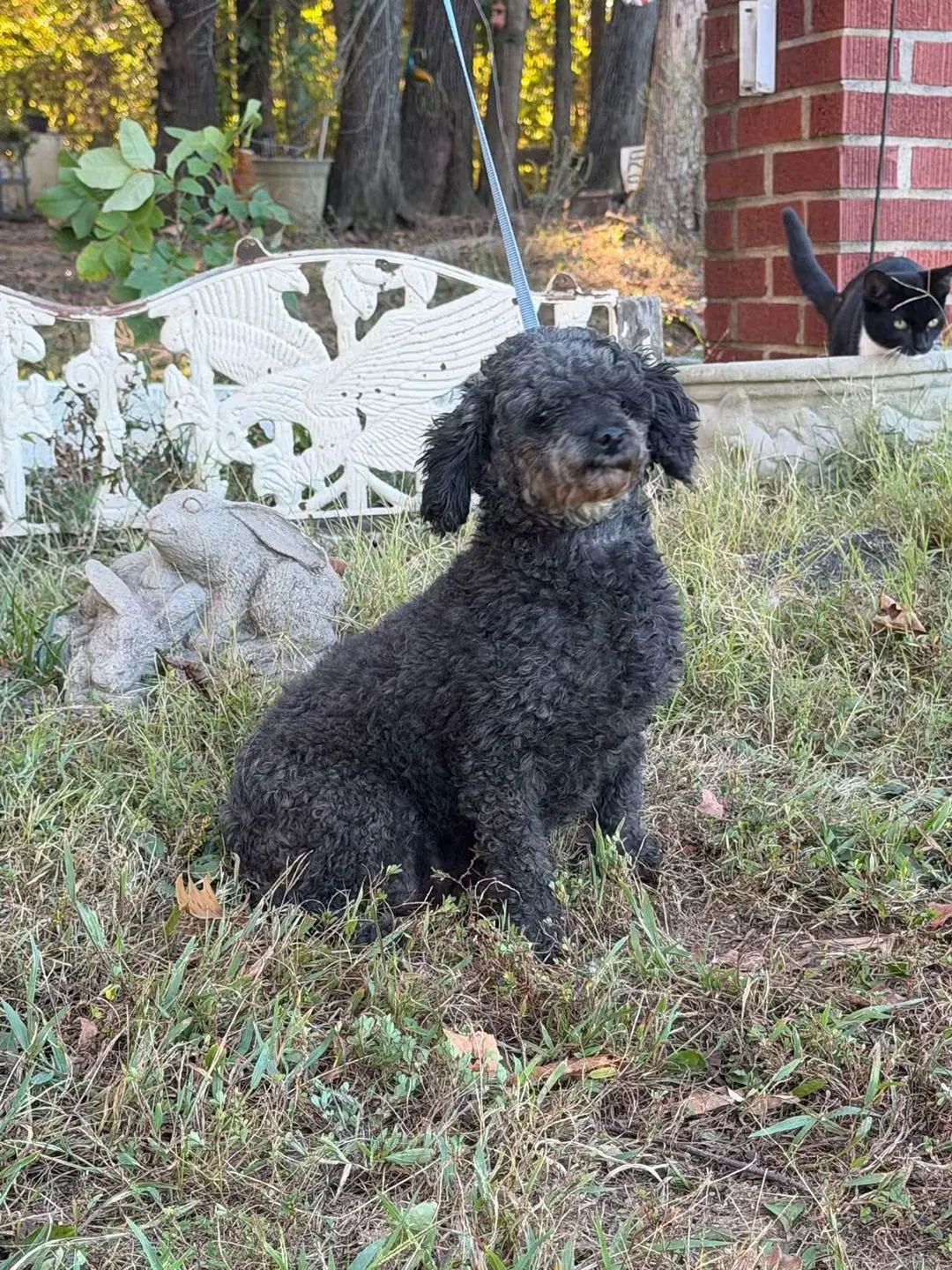 Betty image 2